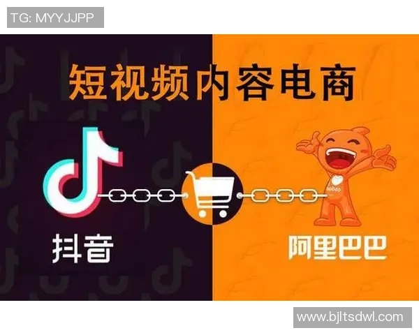 京东不死鸟与金泽的较量谁将成为电商领域的新王者 京东不死鸟与金泽的较量谁将成为电商领域的新王者