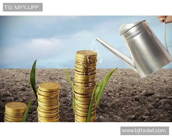 代怀博的成长之路：从普通学生到行业领军人物的奋斗历程