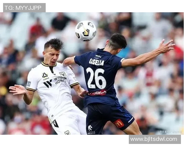 惠灵顿凤凰对阵中央海岸水手2019赛季精彩直播回顾与分析