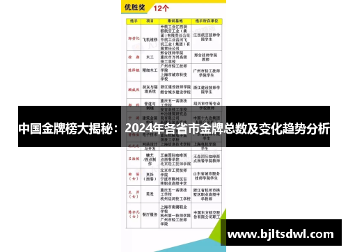 中国金牌榜大揭秘：2024年各省市金牌总数及变化趋势分析
