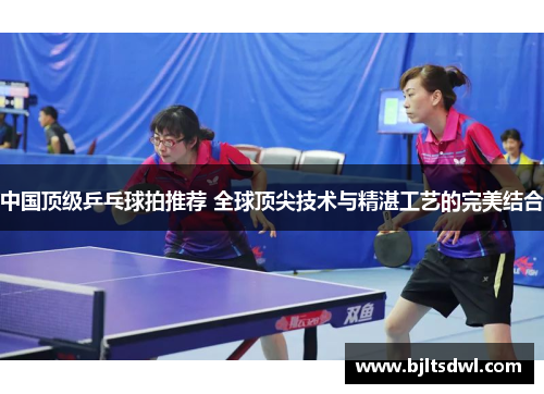 中国顶级乒乓球拍推荐 全球顶尖技术与精湛工艺的完美结合