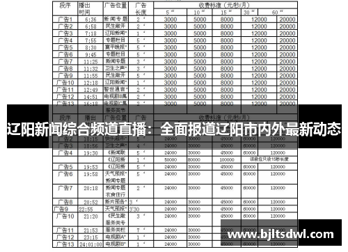 辽阳新闻综合频道直播：全面报道辽阳市内外最新动态